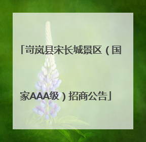 岢岚县宋长城景区（国家AAA级）招商公告