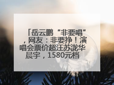 岳云鹏“非要唱”，网友：非要挣！演唱会票价超汪苏泷华晨宇，1580元档20秒抢空