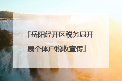岳阳经开区税务局开展个体户税收宣传