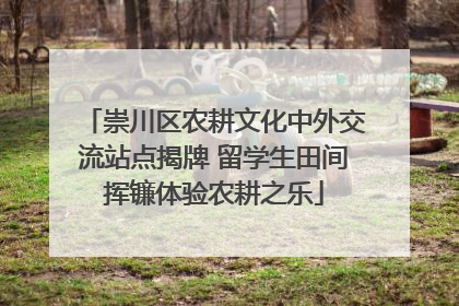 崇川区农耕文化中外交流站点揭牌 留学生田间挥镰体验农耕之乐