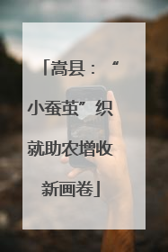 嵩县：“小蚕茧”织就助农增收新画卷