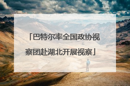 巴特尔率全国政协视察团赴湖北开展视察