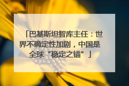 巴基斯坦智库主任：世界不确定性加剧，中国是全球“稳定之锚”