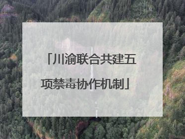 川渝联合共建五项禁毒协作机制