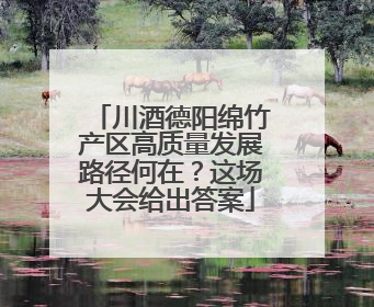 川酒德阳绵竹产区高质量发展路径何在？这场大会给出答案