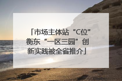 市场主体站“C位” 衡东“一区三园”创新实践被全省推介
