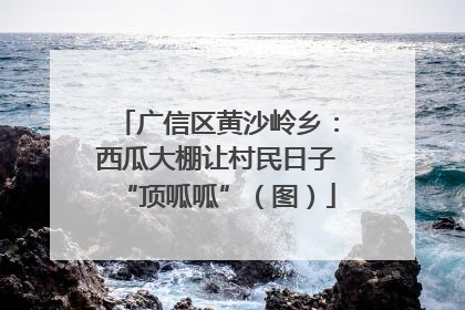 广信区黄沙岭乡：西瓜大棚让村民日子“顶呱呱”（图）
