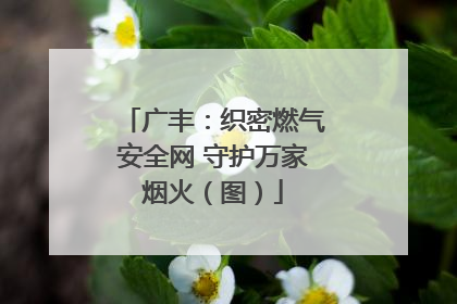 广丰：织密燃气安全网 守护万家烟火（图）