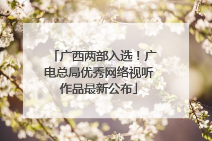 广西两部入选！广电总局优秀网络视听作品最新公布
