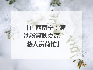 广西南宁：满池粉黛映夏凉 游人赏荷忙