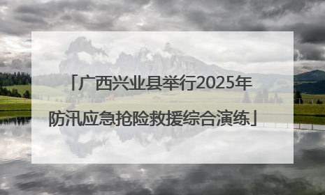 广西兴业县举行2025年防汛应急抢险救援综合演练