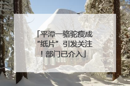 平潭一骆驼瘦成“纸片”引发关注！部门已介入