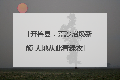 开鲁县：荒沙沼焕新颜 大地从此着绿衣
