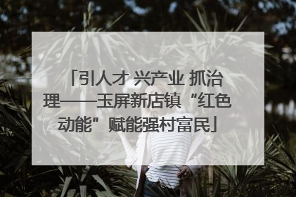 引人才 兴产业 抓治理——玉屏新店镇“红色动能”赋能强村富民