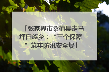 张家界市桑植县走马坪白族乡：“三个保障”筑牢防汛安全堤