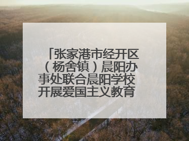 张家港市经开区（杨舍镇）晨阳办事处联合晨阳学校开展爱国主义教育主题升旗活动