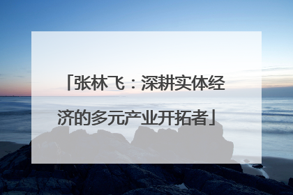 张林飞：深耕实体经济的多元产业开拓者