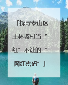 探寻泰山区王林坡村当“红”不让的“网红密码”