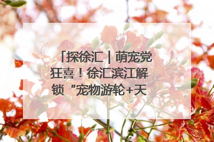 探徐汇｜萌宠党狂喜！徐汇滨江解锁“宠物游轮+天台乐园”双玩法