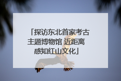 探访东北首家考古主题博物馆 近距离感知红山文化