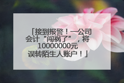 接到报警！一公司会计“闯祸了”，将10000000元误转陌生人账户！