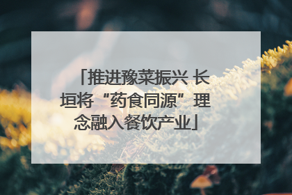 推进豫菜振兴 长垣将“药食同源”理念融入餐饮产业