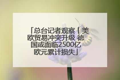 总台记者观察丨美欧贸易冲突升级 德国或面临2500亿欧元累计损失