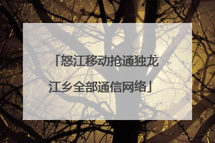 怒江移动抢通独龙江乡全部通信网络