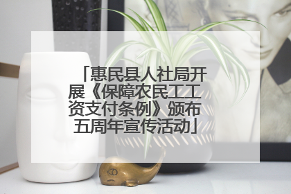 惠民县人社局开展《保障农民工工资支付条例》颁布五周年宣传活动