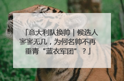 意大利队换帅｜候选人寥寥无几，为何名帅不再垂青“蓝衣军团”？
