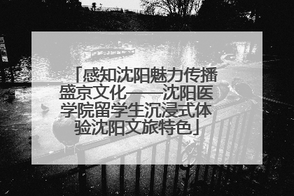 感知沈阳魅力传播盛京文化——沈阳医学院留学生沉浸式体验沈阳文旅特色