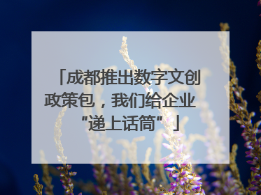 成都推出数字文创政策包，我们给企业“递上话筒”