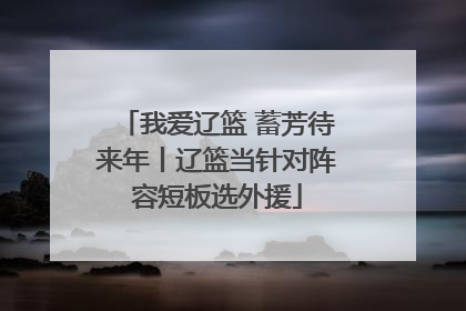 我爱辽篮 蓄芳待来年丨辽篮当针对阵容短板选外援
