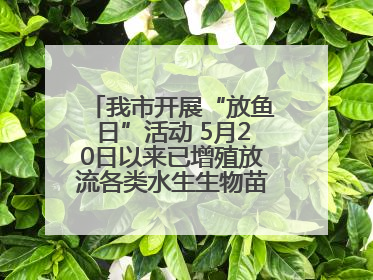 我市开展“放鱼日”活动 5月20日以来已增殖放流各类水生生物苗种5.1亿单位