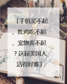 手机买不起、炸鸡吃不起、宠物养不起？这届美国人活得好难