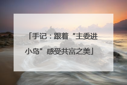 手记：跟着“主委进小岛”感受共富之美