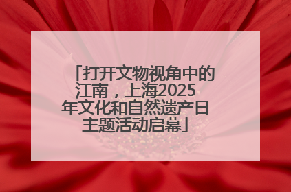 打开文物视角中的江南，上海2025年文化和自然遗产日主题活动启幕