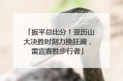 扳平总比分！亚历山大决胜时刻力挽狂澜，雷霆客胜步行者