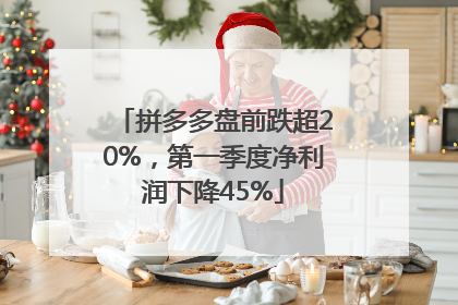 拼多多盘前跌超20%，第一季度净利润下降45%