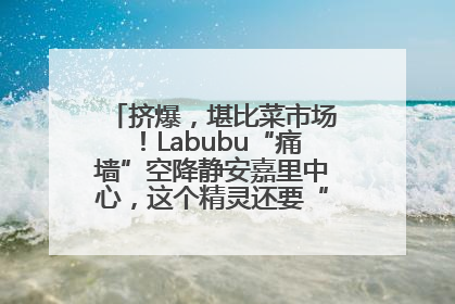 挤爆，堪比菜市场！Labubu“痛墙”空降静安嘉里中心，这个精灵还要“突袭”便利店？