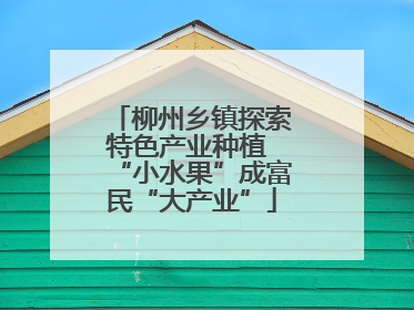 柳州乡镇探索特色产业种植 “小水果”成富民“大产业”