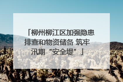 柳州柳江区加强隐患排查和物资储备 筑牢汛期“安全堤”