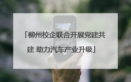 柳州校企联合开展党建共建 助力汽车产业升级