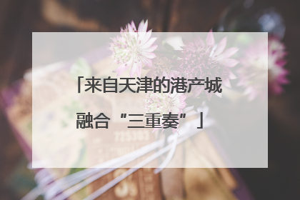 来自天津的港产城融合“三重奏”