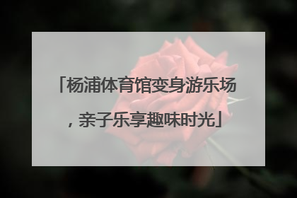杨浦体育馆变身游乐场，亲子乐享趣味时光