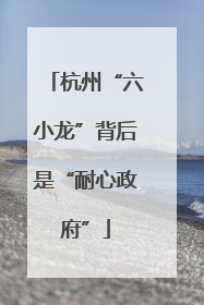 杭州“六小龙”背后是“耐心政府”