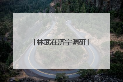 林武在济宁调研