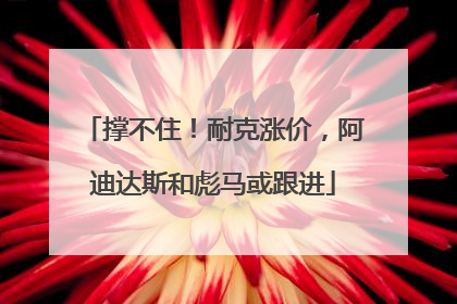撑不住！耐克涨价，阿迪达斯和彪马或跟进