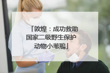 敦煌：成功救助国家二级野生保护动物小苇鳽