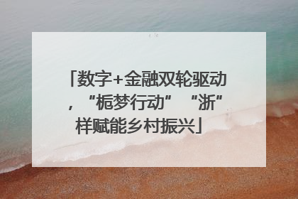 数字+金融双轮驱动，“栀梦行动”“浙”样赋能乡村振兴